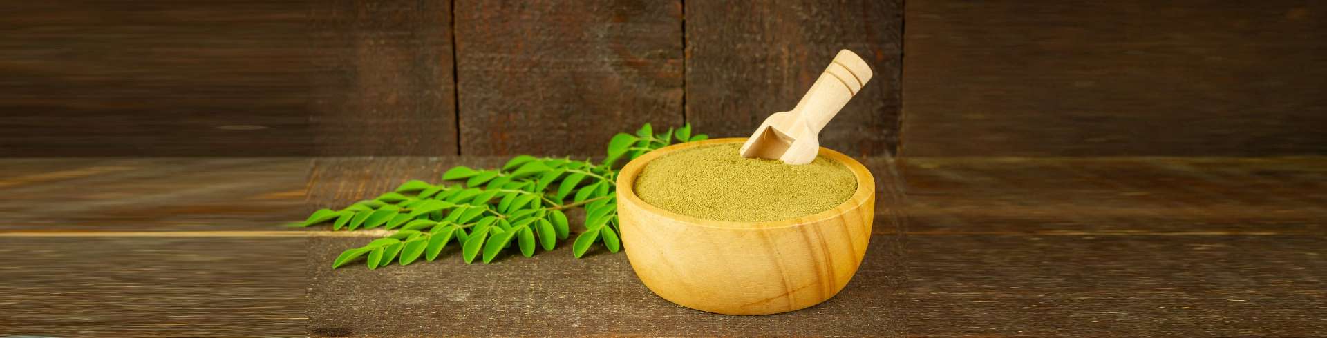 Moringa Oleifera Australia